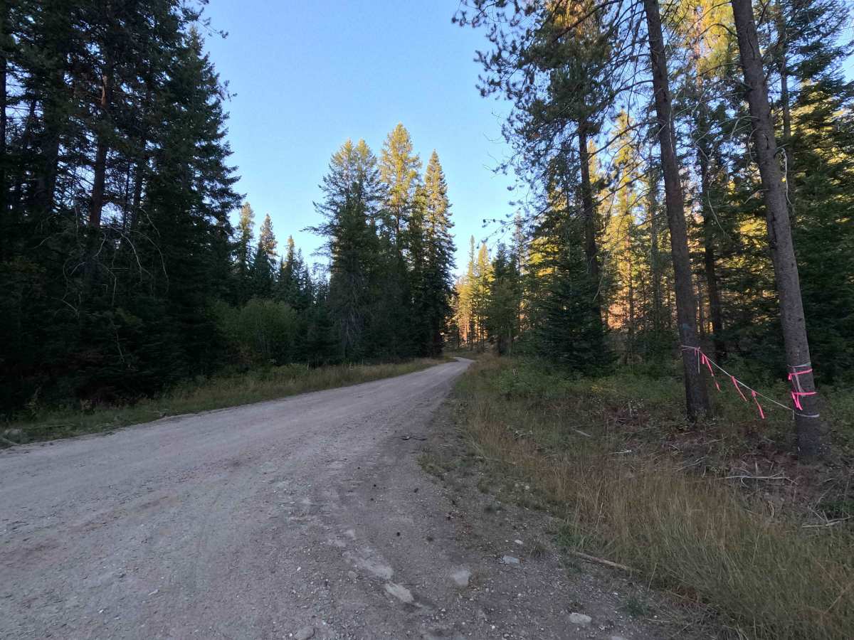 Drummond Creek - FS 9545 trail photo