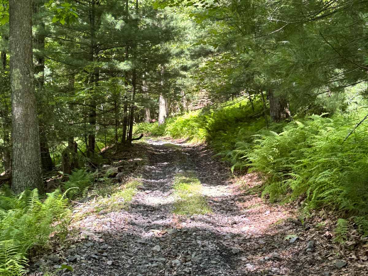 Button Connector Trail photo 5