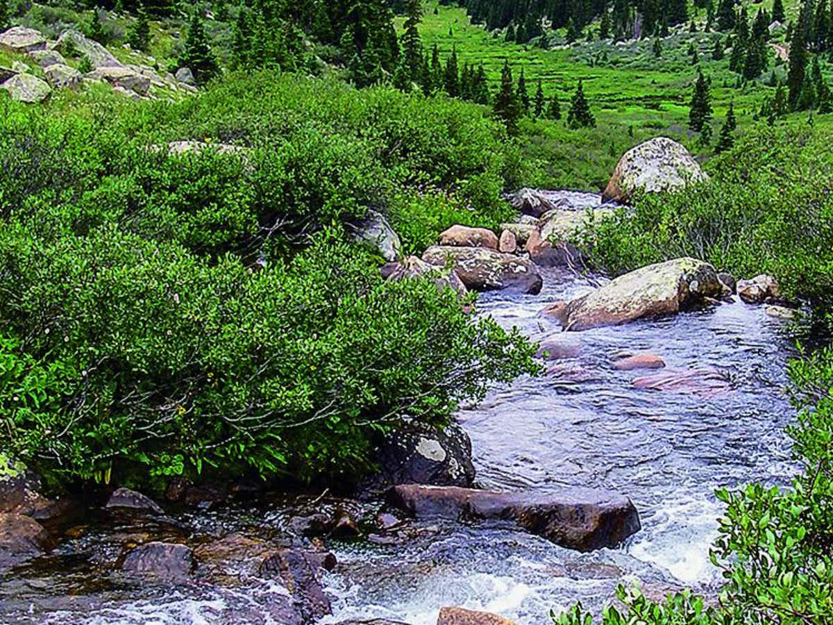 Chihuahua Gulch photo 3