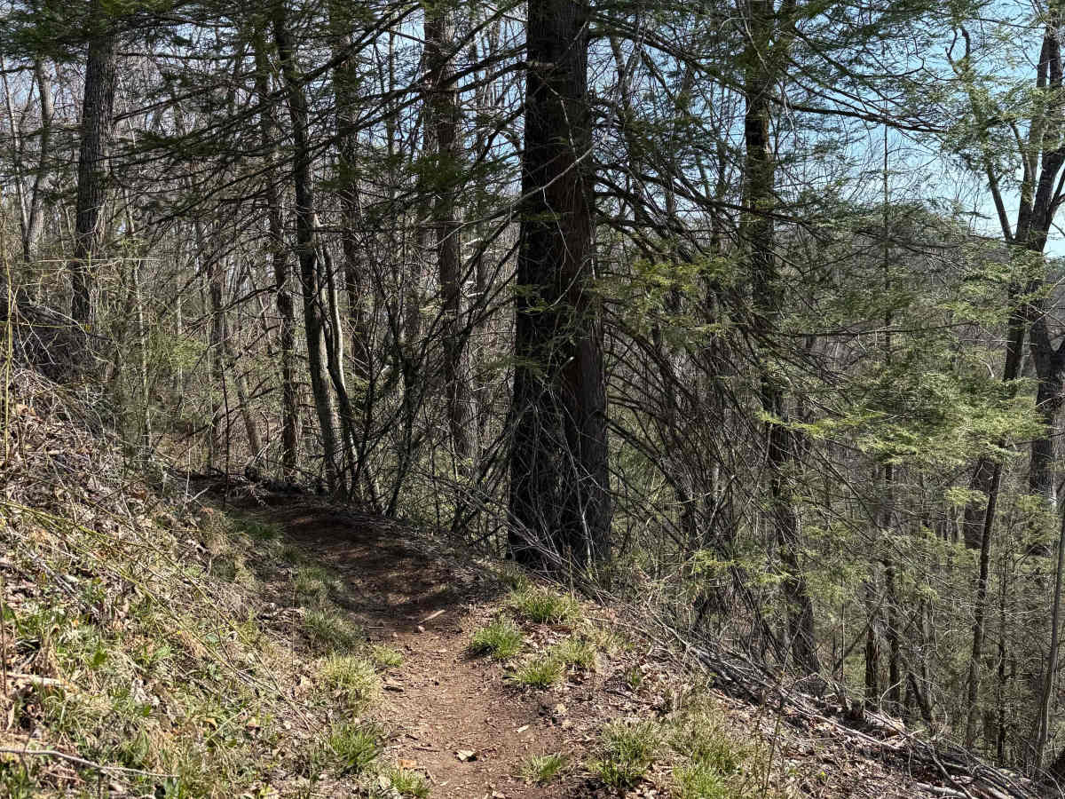 Iron Mountain Spur A photo 6