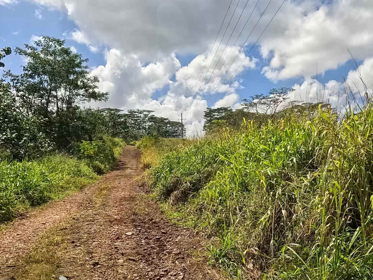 Jurassic Park Gate Trail photo 6