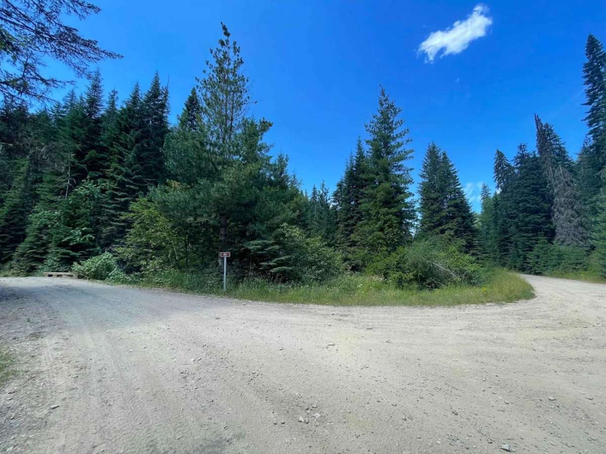 Lone Cabin Creek photo 2