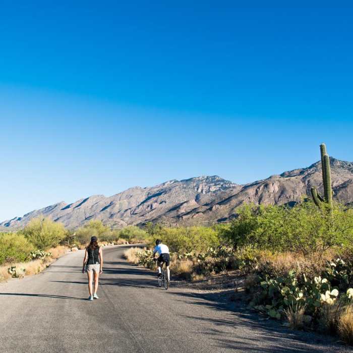 Near Bear Canyon to Seven Falls Trail