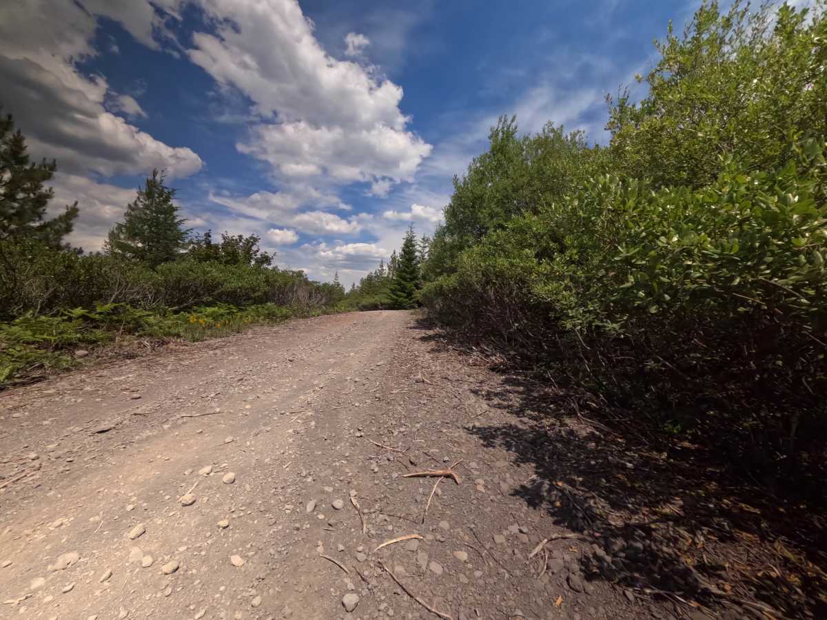 FS 2076-600 trail photo