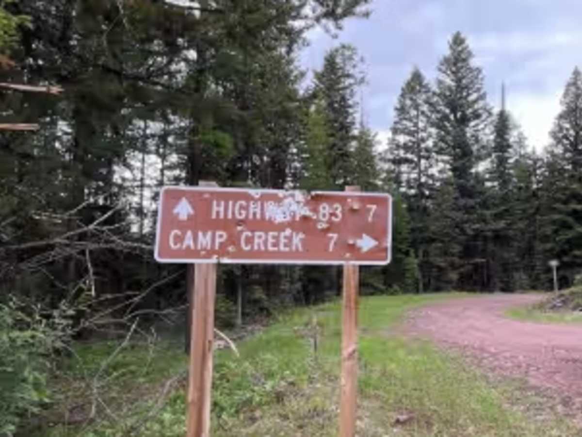Sawyer Creek Road - FS 685 trail photo
