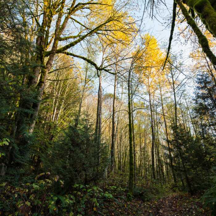 Beaver Pond Loop Trail | Hiking Trail Maps, Difficulty, Trail Status | onX