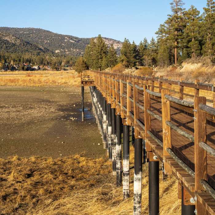 Near Stanfield Marsh Boardwalk