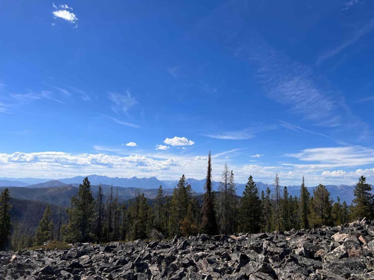 Black Bear Point photo 3