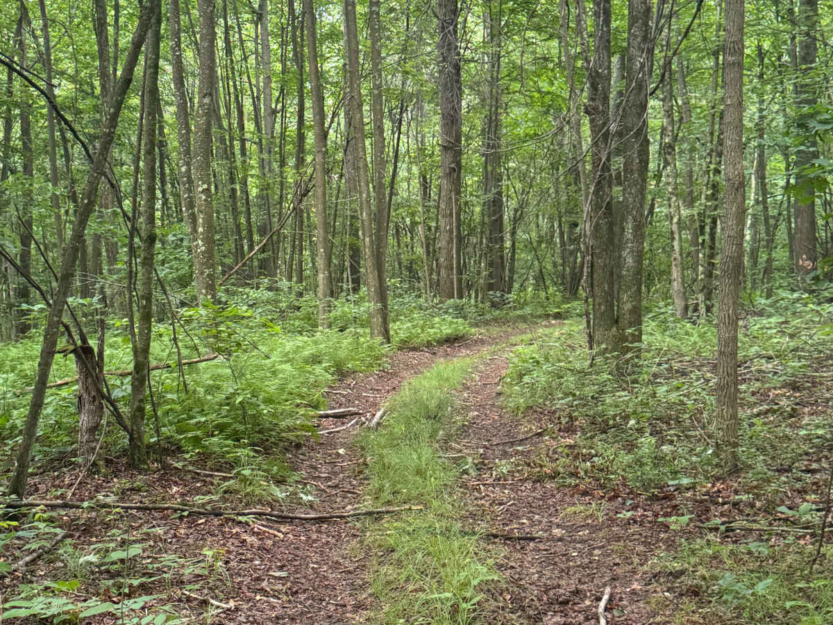 Trail 58 photo 6