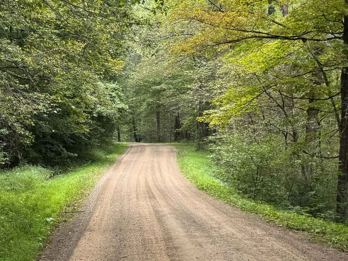 Brown Road trail photo