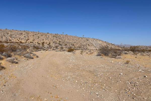 Open Range Trail