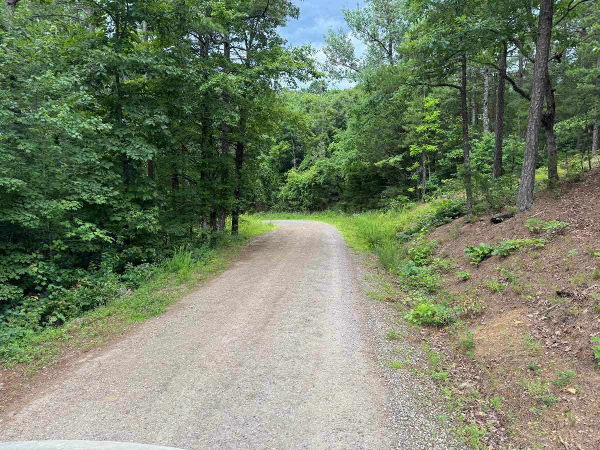 FS 4428 trail photo