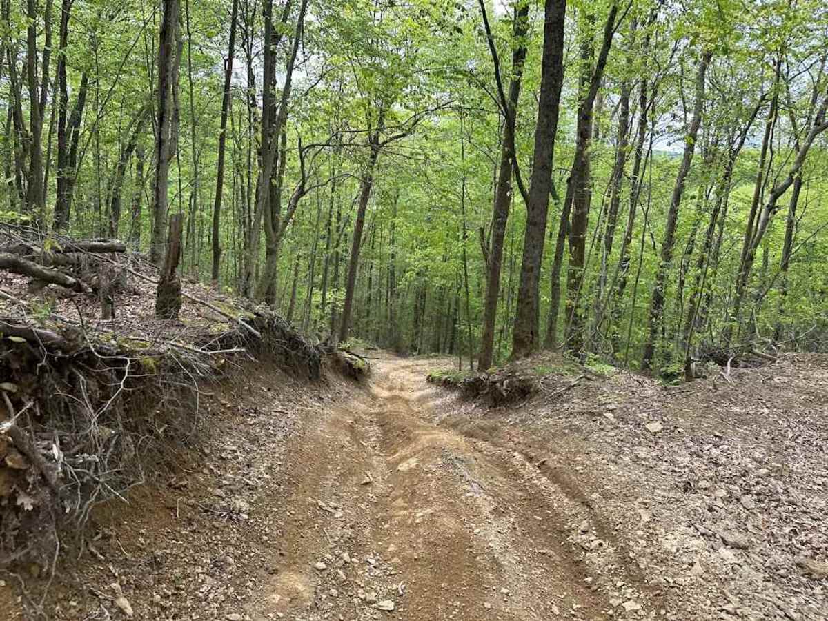 E2 trail photo