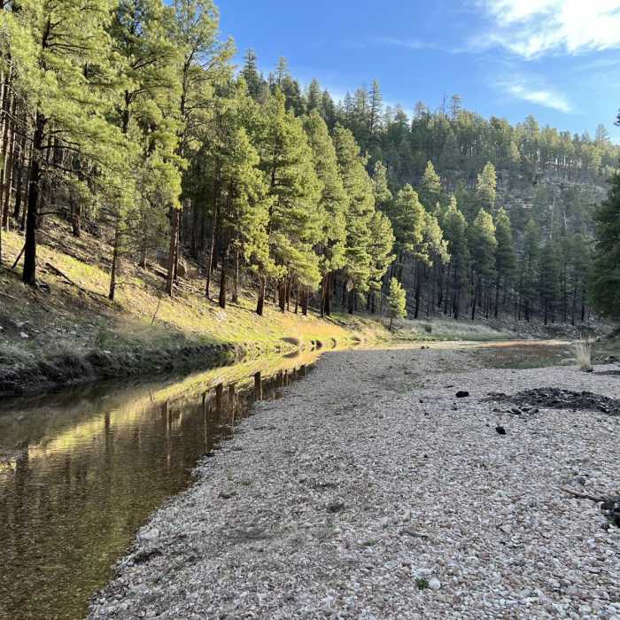 Near Rock Crossing Campground to General Springs Cabin