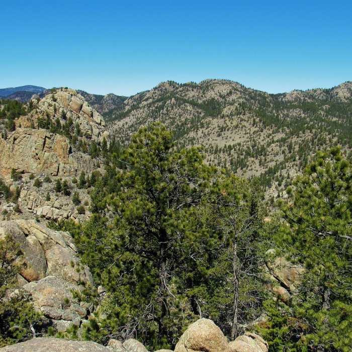 Summit views atop Mt. Margaret Near Mt. Margaret