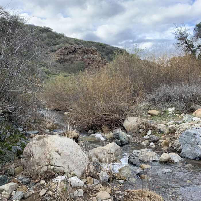 Near Blue Canyon Trail 26W12