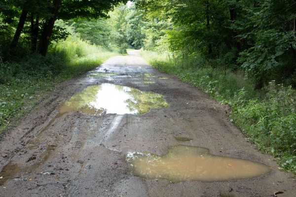 Bay State Road