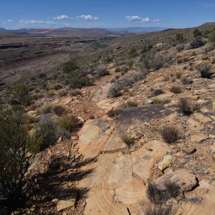 Near Little Purgatory Trail