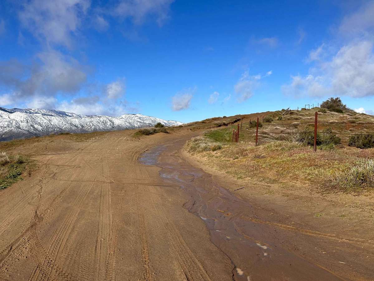 Manzanita Wash  photo 5