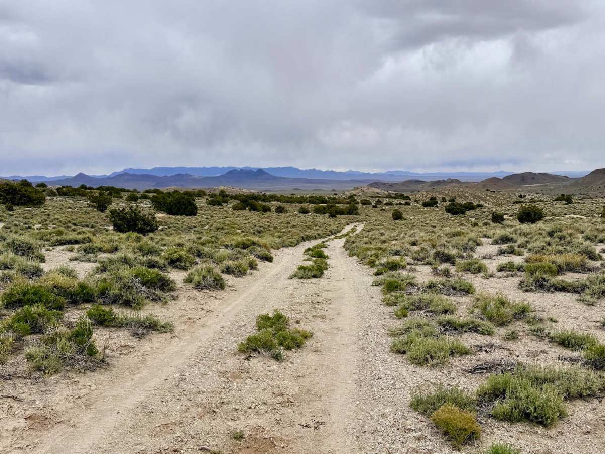 Parrotte Springs Trail - FS 44505 photo 6