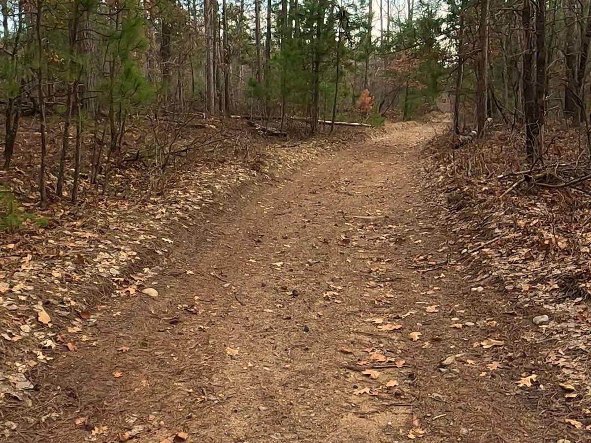Woods - FS 4330 photo 2