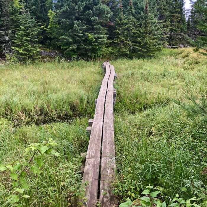 Near Locator Lake Trail