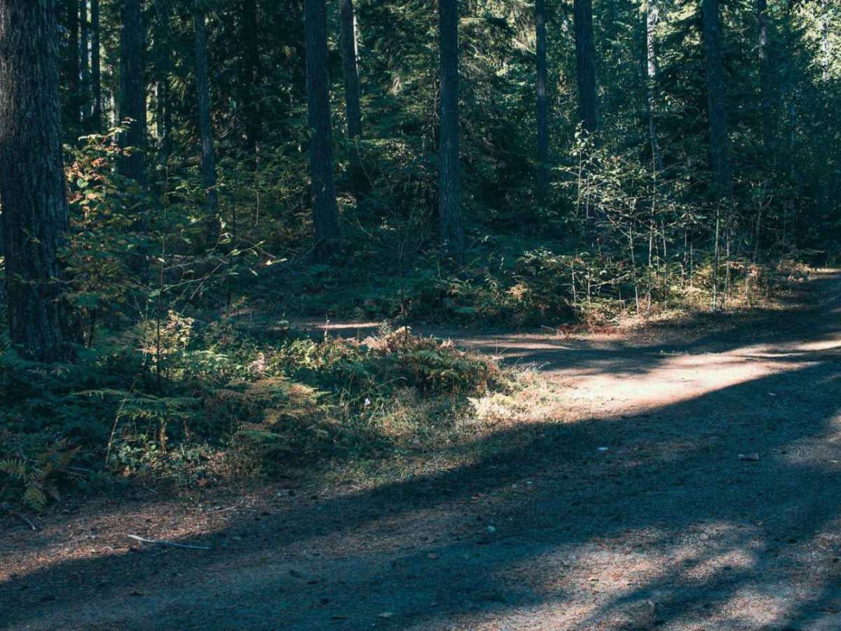 Cougar Spur photo 2