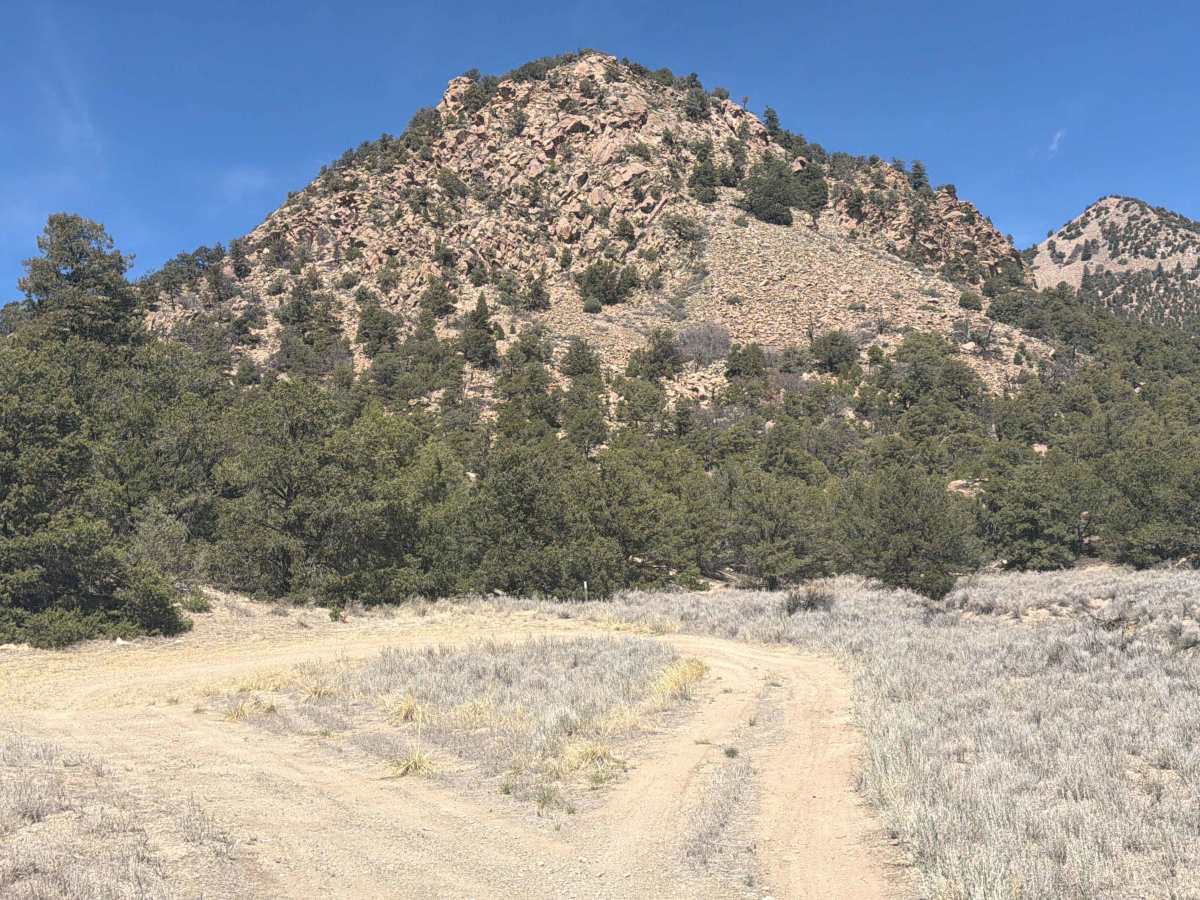 BLM 5965A photo 6