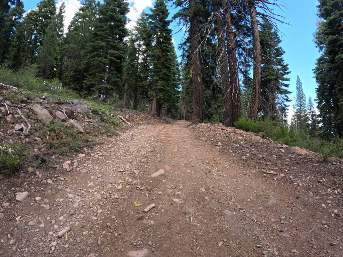 Carnelian Road - FS 16N63 photo 3