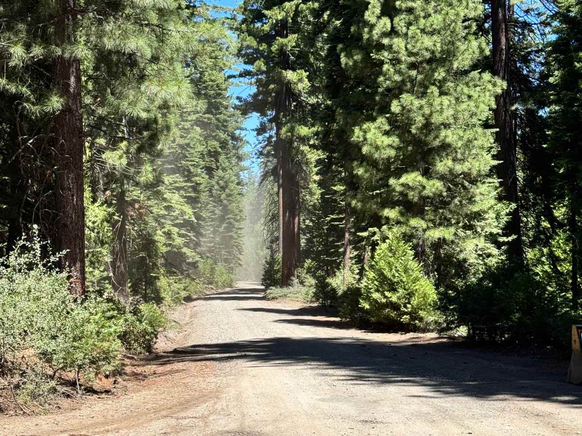 Rattlesnake - FS 5N14 trail photo