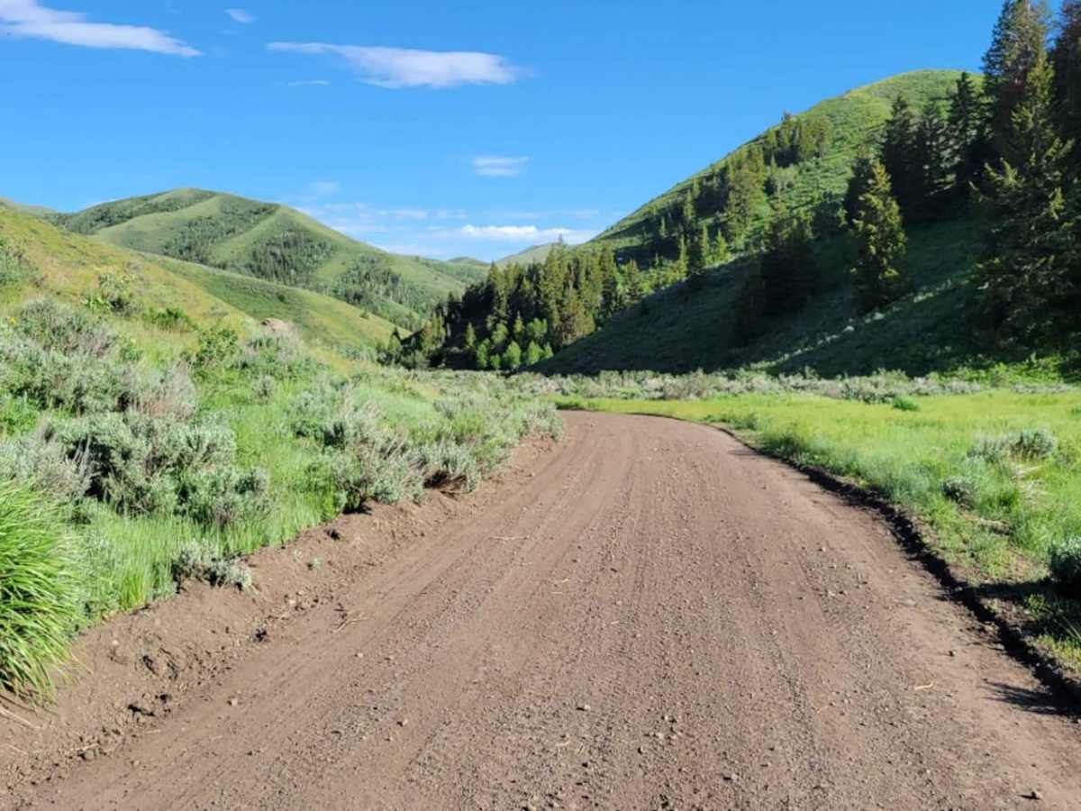 Lake Fork trail photo