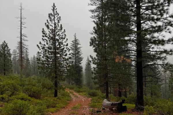 Ford Point Spur