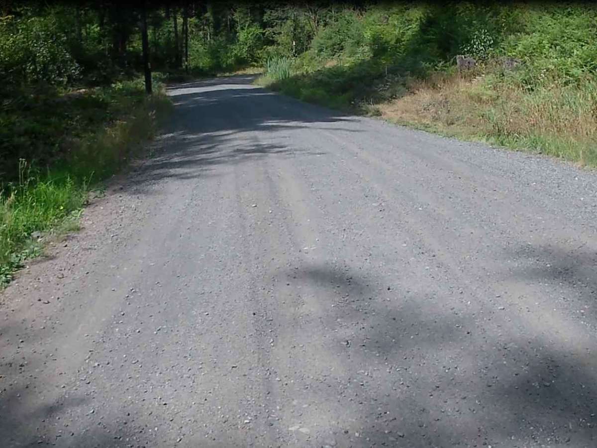 Skamania Mines trail photo