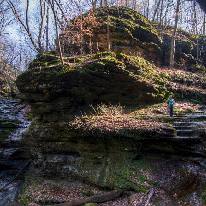 Near Little Grand Canyon Loop
