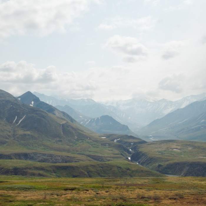 A cloudy Denali day. Near Mom's Polychrome Picnic Loop