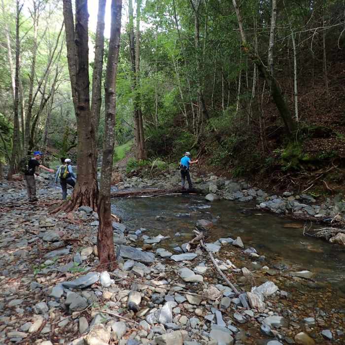 Another crossing of Moore Creek Near Moore Creek Trail
