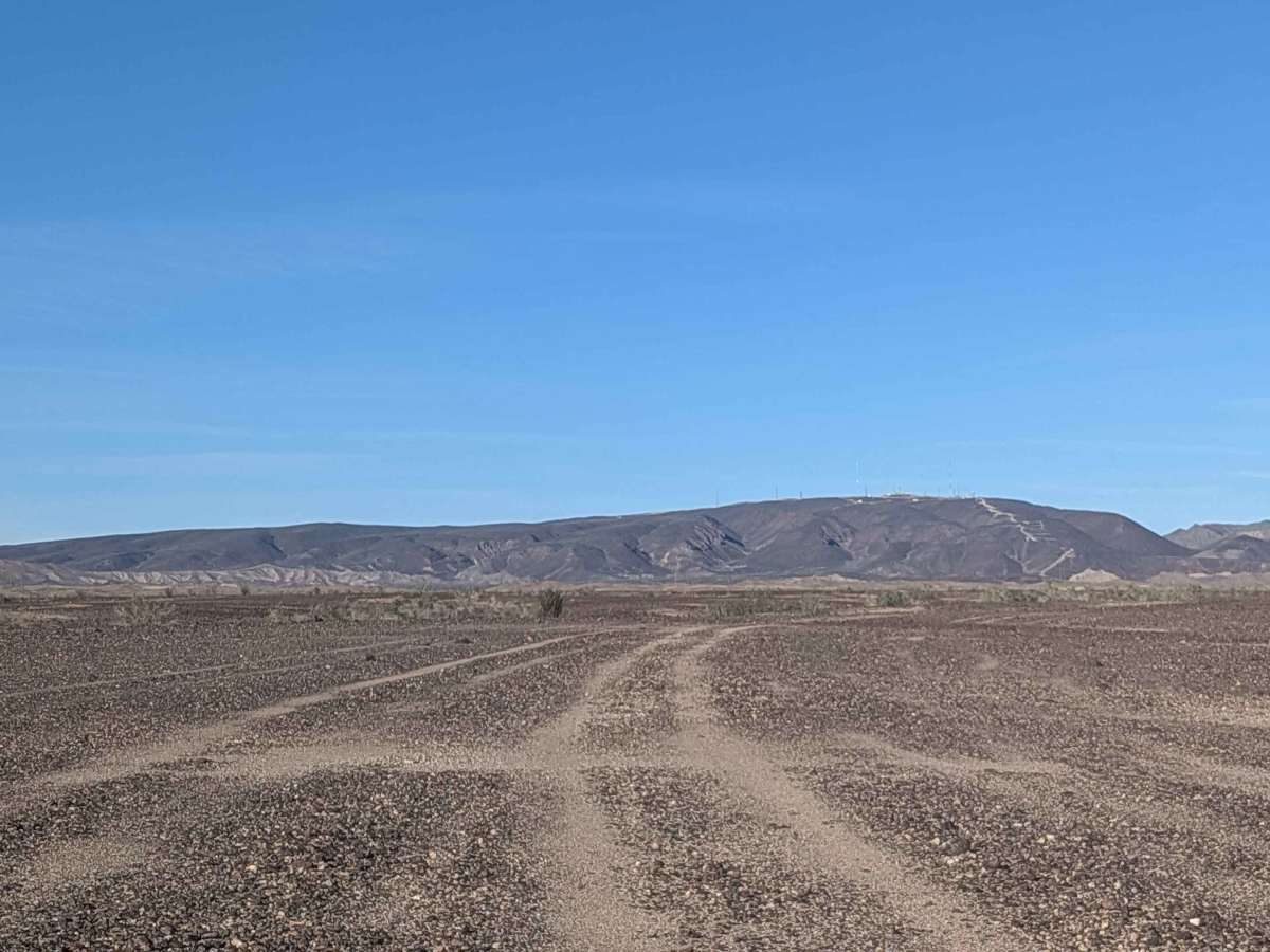 BLM 819 photo 6