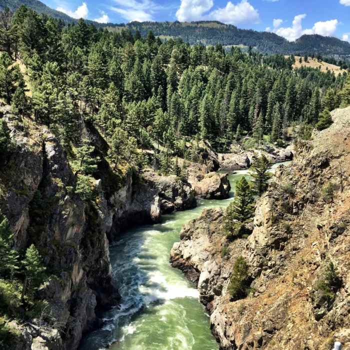 Near Hellroaring Creek