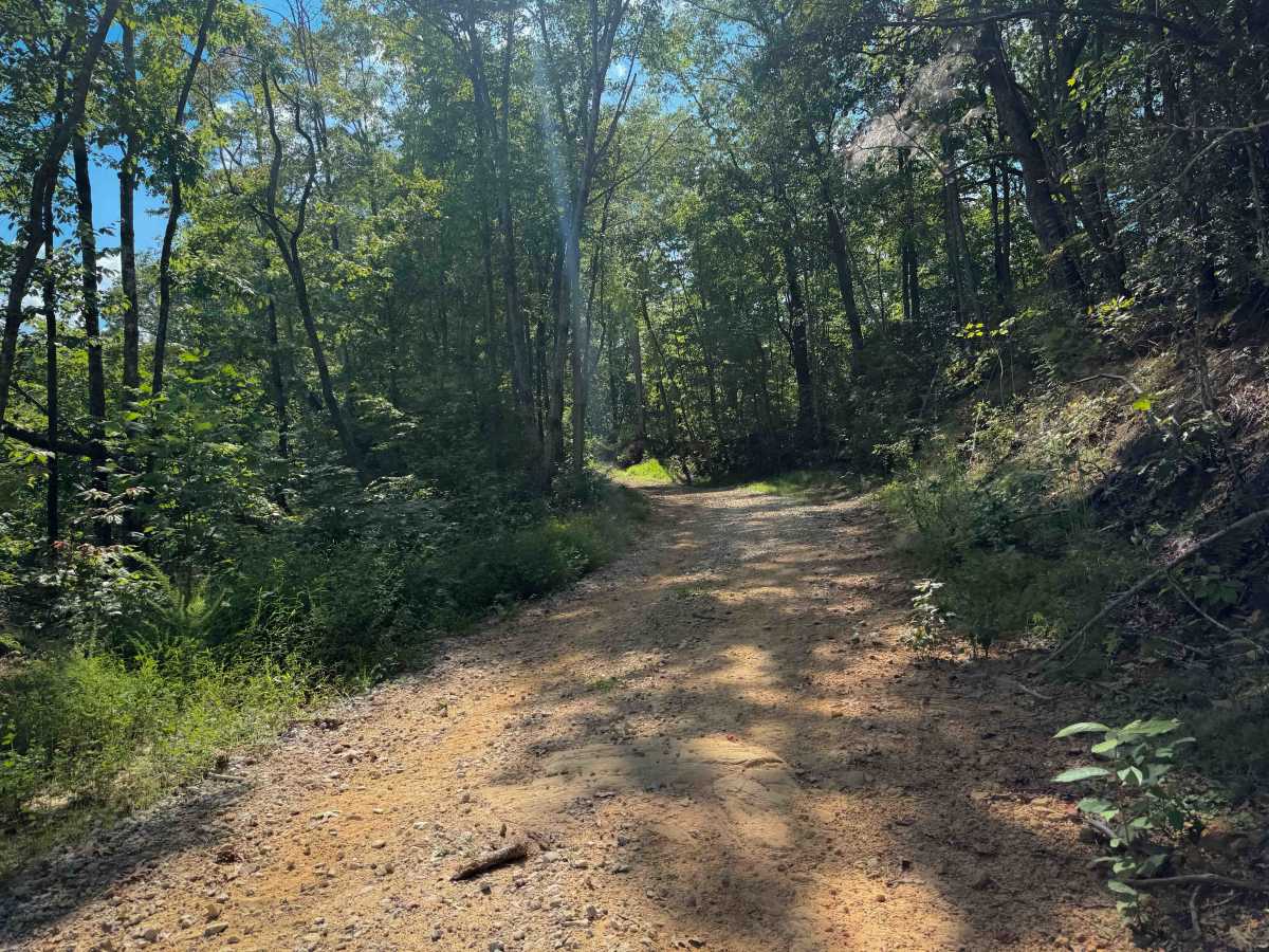 Shack Creek Trail photo 3