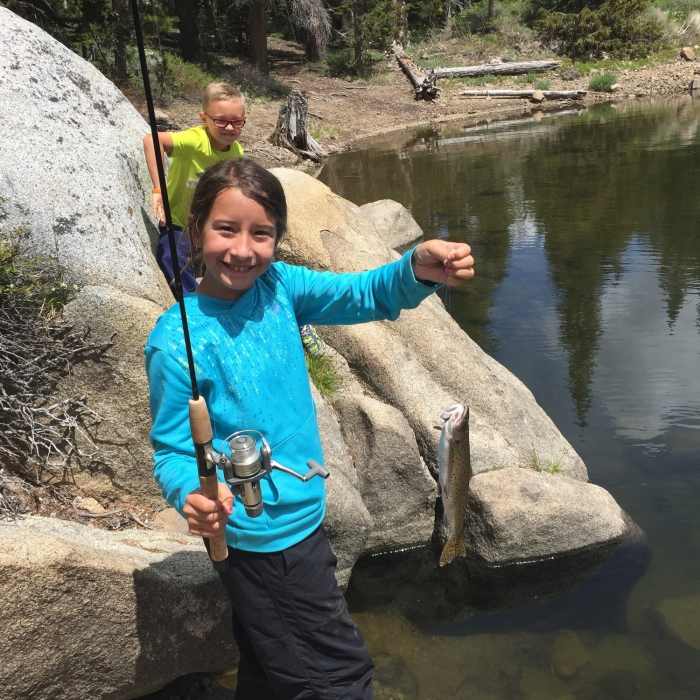 Near Tahoe Rim Trail: Big Meadow To Echo Lake