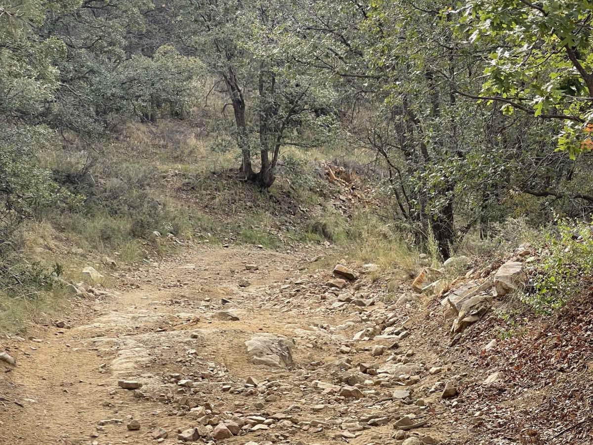 Upper Turkey Creek trail photo