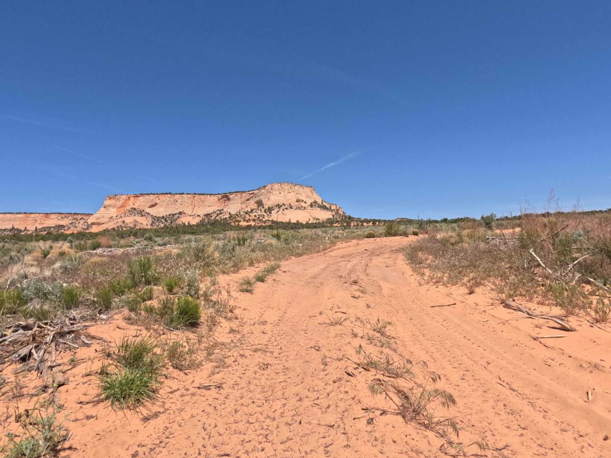 BLM 15 trail photo