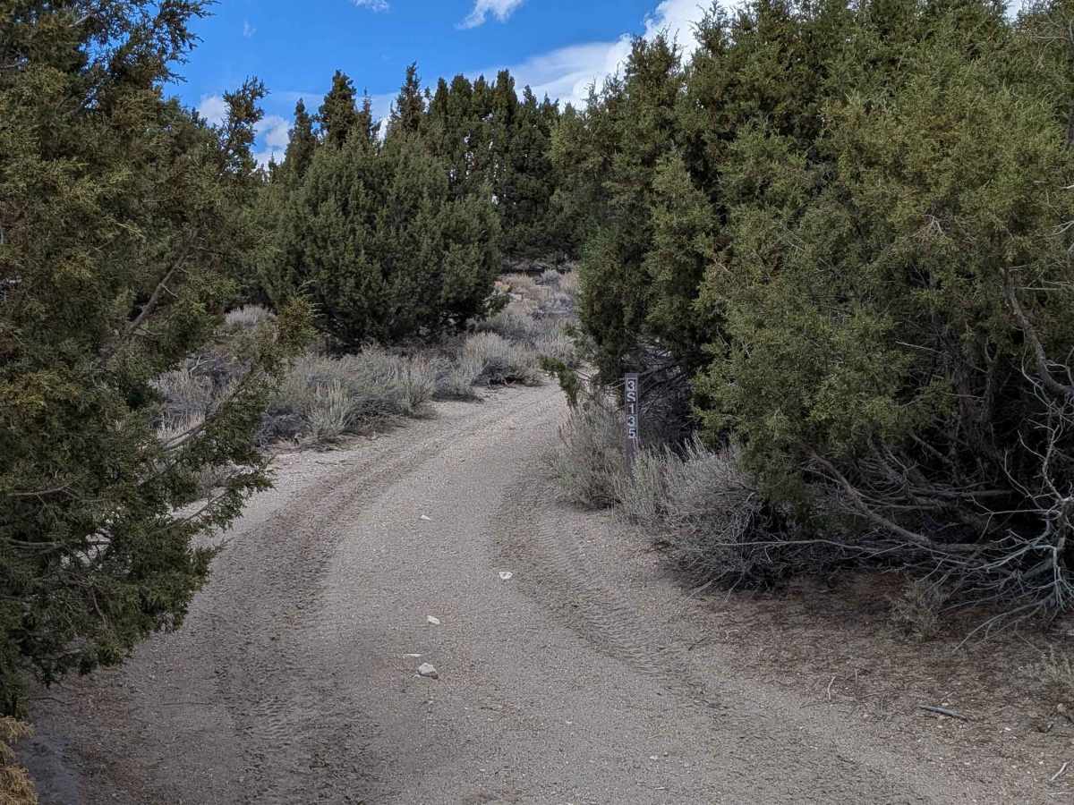 FS 3S135 trail photo