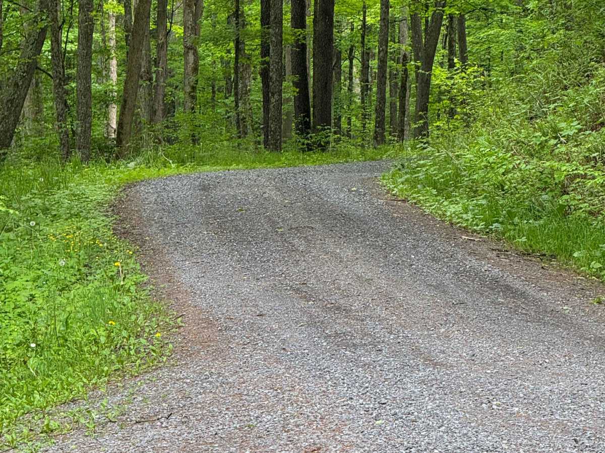 Left Branch Young Womans Creek Road photo 5