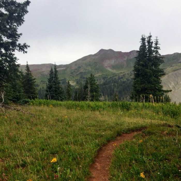 Near Blackhawk Trail #501