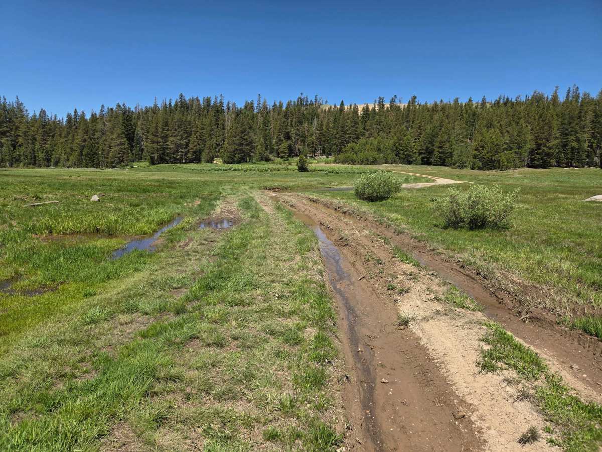 Bear Valley Loop photo 3