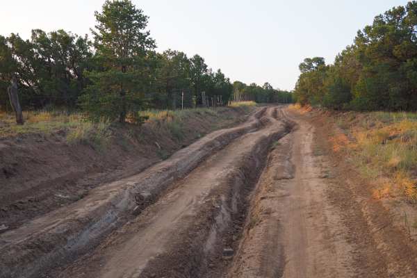 Meadow Ridge Loop