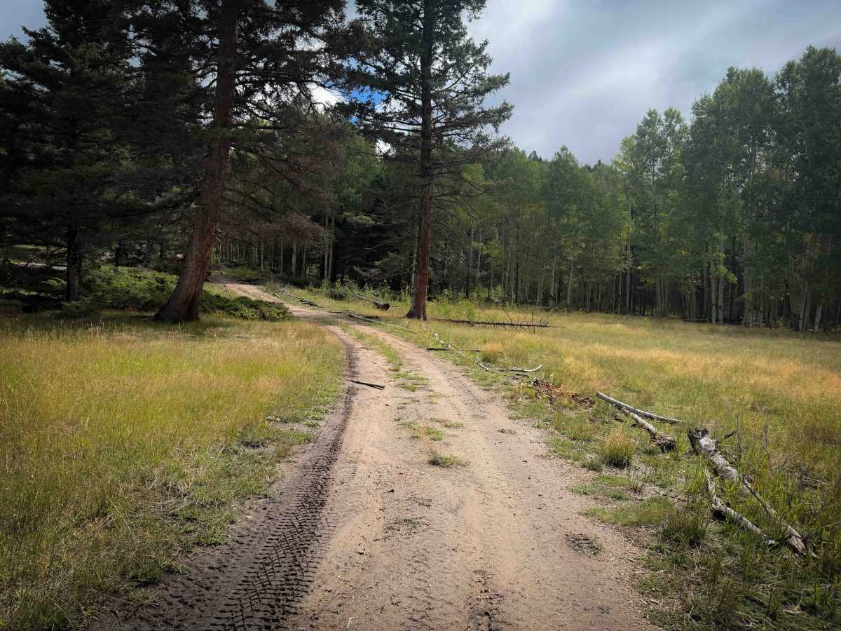 Bear Canyon Trail 28 photo 4