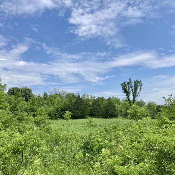 Near Sumac and Meadowlark Loop Near Sumac and Meadowlark Loop