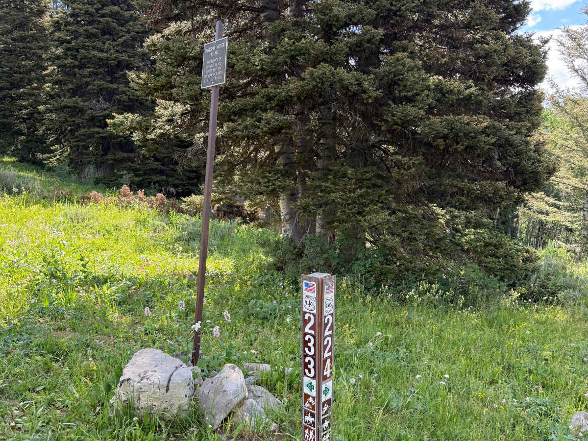 Calamity Creek - FS 224 trail photo
